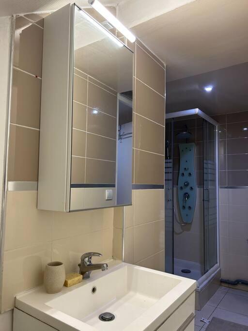 Cosy - 10 Min Away From Cdg Aeroport - 30 Min Away From Paris - Parc Asterix - Olympic Games 2024